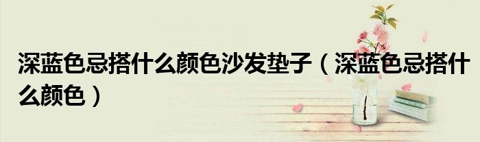 深藍(lán)色忌搭什么顏色沙發(fā)墊子（深藍(lán)色忌搭什么顏色）