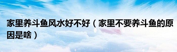 家里養(yǎng)斗魚風水好不好（家里不要養(yǎng)斗魚的原因是啥）