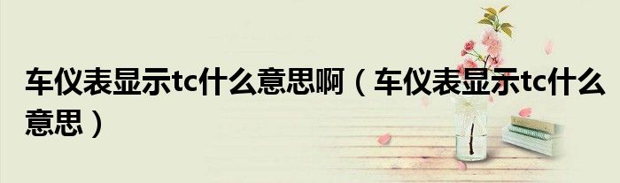 車儀表顯示tc什么意思?。ㄜ噧x表顯示tc什么意思）