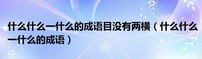 什么什么一什么的成語目沒有兩橫（什么什么一什么的成語）