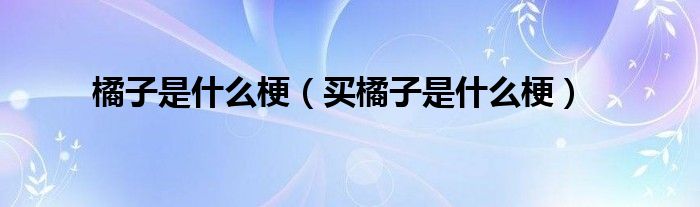 橘子是什么梗（買橘子是什么梗）