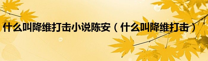 什么叫降維打擊小說陳安（什么叫降維打擊）