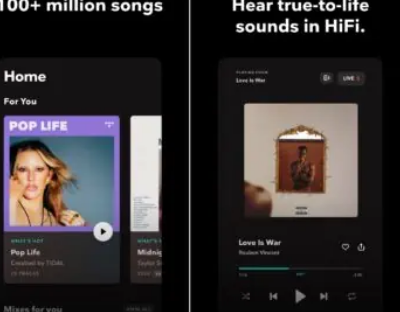 Tidal的無損套餐現(xiàn)在與Spotify訂閱費用相同