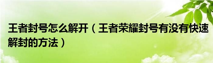 王者封號(hào)怎么解開（王者榮耀封號(hào)有沒有快速解封的方法）