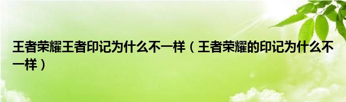 王者榮耀王者印記為什么不一樣（王者榮耀的印記為什么不一樣）