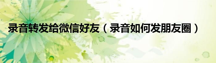 錄音轉發(fā)給微信好友（錄音如何發(fā)朋友圈）