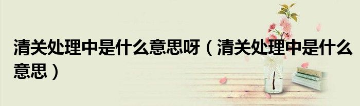 清關(guān)處理中是什么意思呀（清關(guān)處理中是什么意思）