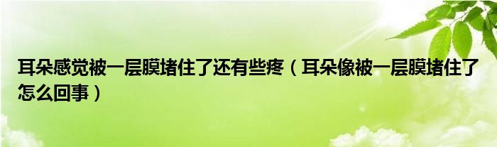耳朵感覺(jué)被一層膜堵住了還有些疼（耳朵像被一層膜堵住了怎么回事）