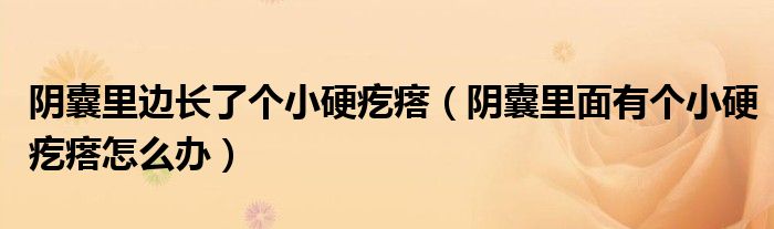 陰囊里邊長(zhǎng)了個(gè)小硬疙瘩（陰囊里面有個(gè)小硬疙瘩怎么辦）