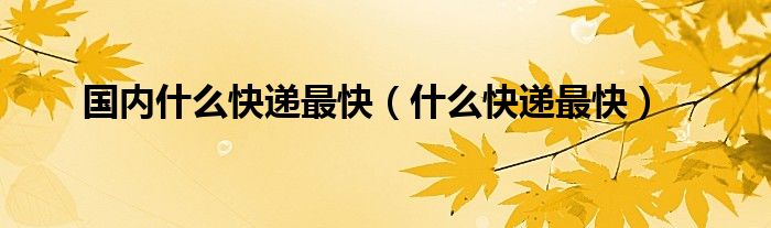 國(guó)內(nèi)什么快遞最快（什么快遞最快）