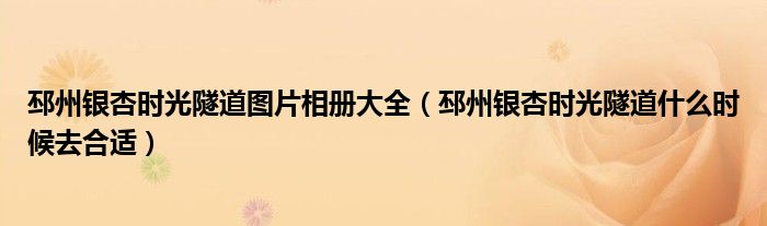 邳州銀杏時(shí)光隧道圖片相冊(cè)大全（邳州銀杏時(shí)光隧道什么時(shí)候去合適）