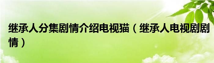繼承人分集劇情介紹電視貓（繼承人電視劇劇情）