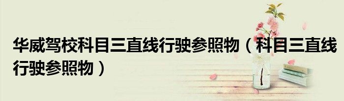 華威駕?？颇咳本€行駛參照物（科目三直線行駛參照物）