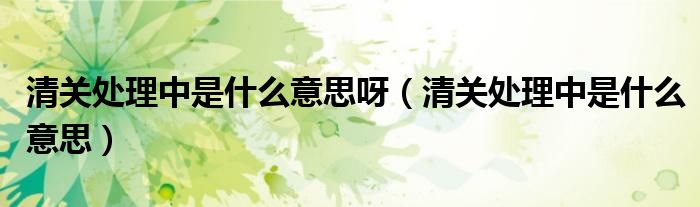 清關(guān)處理中是什么意思呀（清關(guān)處理中是什么意思）