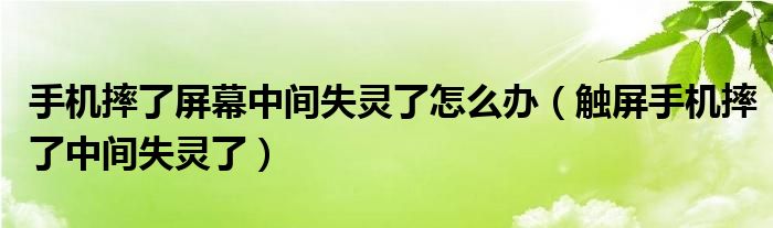 手機(jī)摔了屏幕中間失靈了怎么辦（觸屏手機(jī)摔了中間失靈了）