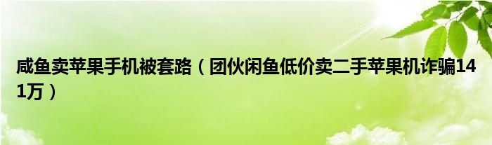咸魚(yú)賣(mài)蘋(píng)果手機(jī)被套路（團(tuán)伙閑魚(yú)低價(jià)賣(mài)二手蘋(píng)果機(jī)詐騙141萬(wàn)）