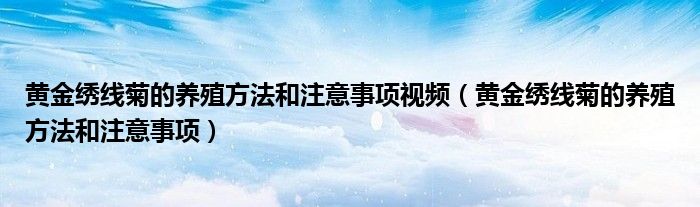 黃金繡線菊的養(yǎng)殖方法和注意事項視頻（黃金繡線菊的養(yǎng)殖方法和注意事項）