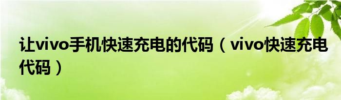讓vivo手機(jī)快速充電的代碼（vivo快速充電代碼）