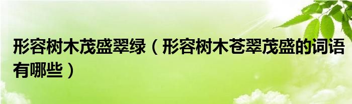 形容樹木茂盛翠綠（形容樹木蒼翠茂盛的詞語有哪些）