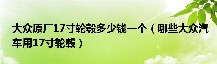大眾原廠17寸輪轂多少錢一個（哪些大眾汽車用17寸輪轂）