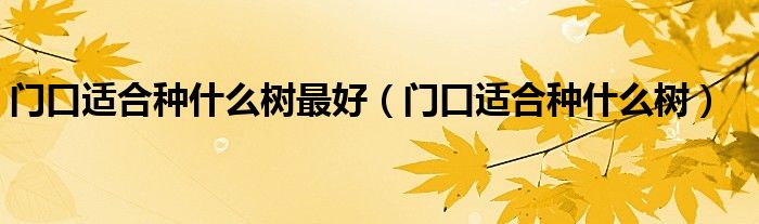 門口適合種什么樹最好（門口適合種什么樹）