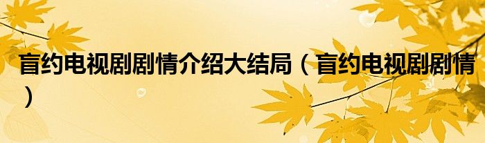 盲約電視劇劇情介紹大結(jié)局（盲約電視劇劇情）