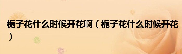 梔子花什么時(shí)候開花?。d子花什么時(shí)候開花）
