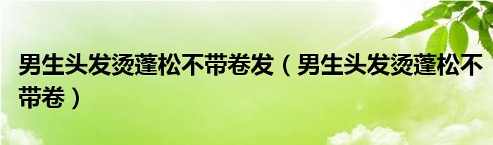 男生頭發(fā)燙蓬松不帶卷發(fā)（男生頭發(fā)燙蓬松不帶卷）