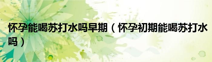 懷孕能喝蘇打水嗎早期（懷孕初期能喝蘇打水嗎）