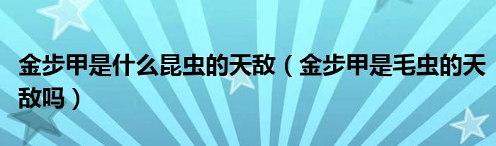 金步甲是什么昆蟲的天敵（金步甲是毛蟲的天敵嗎）