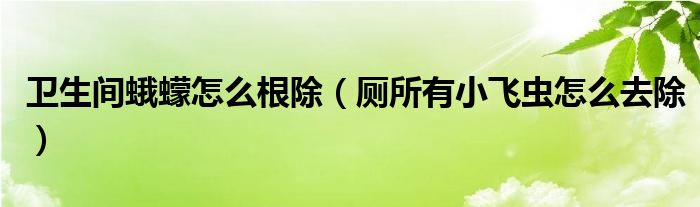 衛(wèi)生間蛾蠓怎么根除（廁所有小飛蟲怎么去除）
