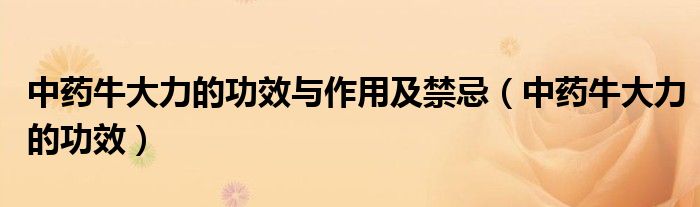 中藥牛大力的功效與作用及禁忌（中藥牛大力的功效）