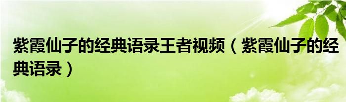 紫霞仙子的經(jīng)典語錄王者視頻（紫霞仙子的經(jīng)典語錄）