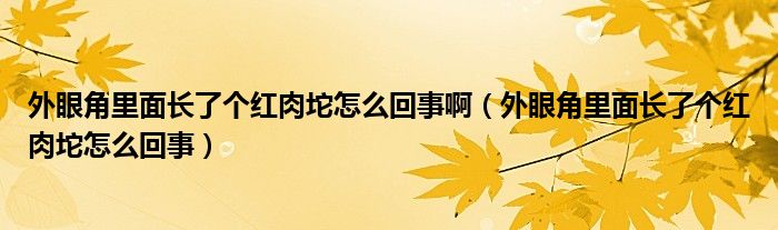 外眼角里面長(zhǎng)了個(gè)紅肉坨怎么回事?。ㄍ庋劢抢锩骈L(zhǎng)了個(gè)紅肉坨怎么回事）
