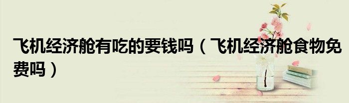 飛機(jī)經(jīng)濟(jì)艙有吃的要錢嗎（飛機(jī)經(jīng)濟(jì)艙食物免費(fèi)嗎）