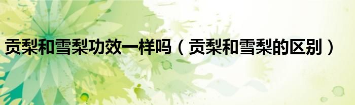 貢梨和雪梨功效一樣嗎（貢梨和雪梨的區(qū)別）