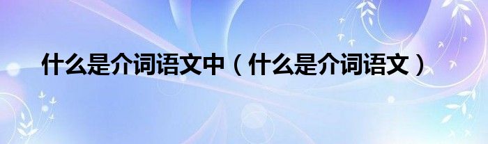 什么是介詞語文中（什么是介詞語文）
