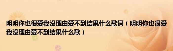 明明你也很愛我沒理由愛不到結(jié)果什么歌詞（明明你也很愛我沒理由愛不到結(jié)果什么歌）