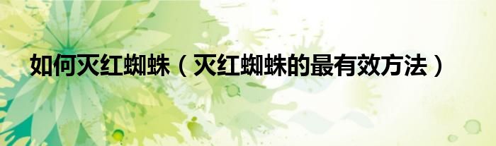 如何滅紅蜘蛛（滅紅蜘蛛的最有效方法）