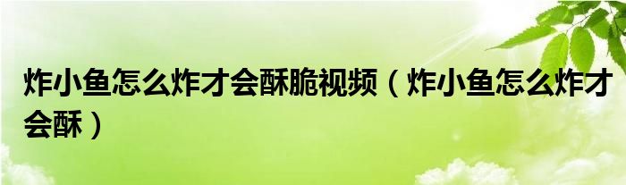 炸小魚怎么炸才會(huì)酥脆視頻（炸小魚怎么炸才會(huì)酥）