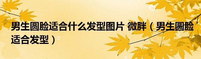 男生圓臉適合什么發(fā)型圖片 微胖（男生圓臉適合發(fā)型）