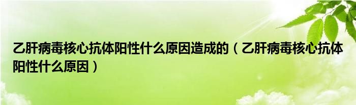 乙肝病毒核心抗體陽(yáng)性什么原因造成的（乙肝病毒核心抗體陽(yáng)性什么原因）