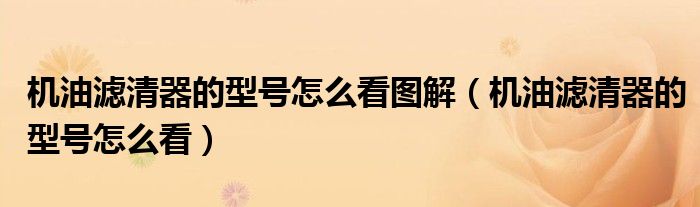 機(jī)油濾清器的型號怎么看圖解（機(jī)油濾清器的型號怎么看）