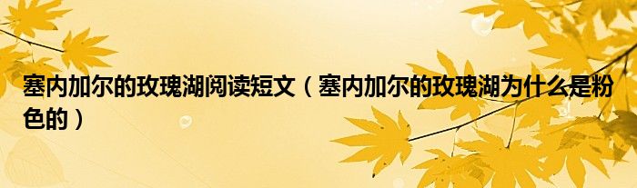 塞內(nèi)加爾的玫瑰湖閱讀短文（塞內(nèi)加爾的玫瑰湖為什么是粉色的）