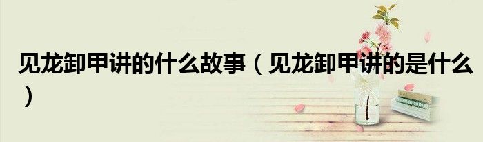 見龍卸甲講的什么故事（見龍卸甲講的是什么）