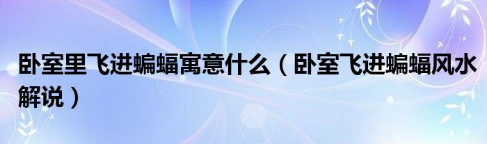 臥室里飛進(jìn)蝙蝠寓意什么（臥室飛進(jìn)蝙蝠風(fēng)水解說(shuō)）