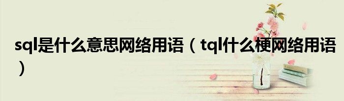 sql是什么意思網(wǎng)絡(luò)用語(yǔ)（tql什么梗網(wǎng)絡(luò)用語(yǔ)）