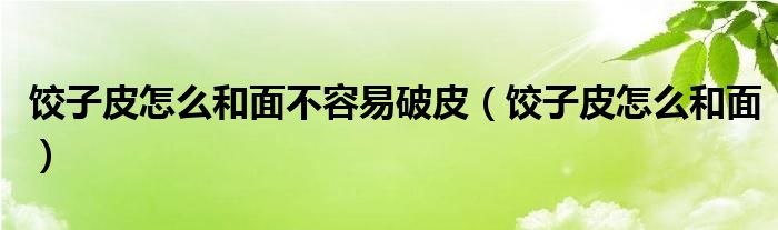 餃子皮怎么和面不容易破皮（餃子皮怎么和面）