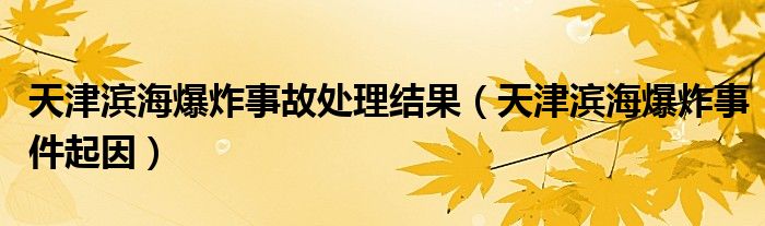 天津?yàn)I海爆炸事故處理結(jié)果（天津?yàn)I海爆炸事件起因）