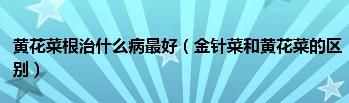 黃花菜根治什么病最好（金針菜和黃花菜的區(qū)別）